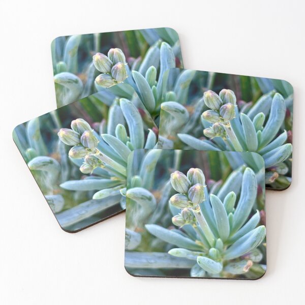 Item preview, Budding Expectation designed and sold by Sophia Flot-Warner.