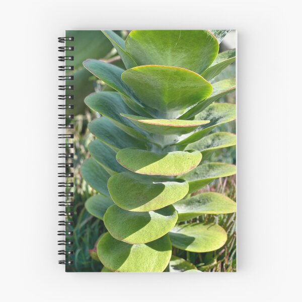 Item preview, Suculento designed and sold by Sophia Flot-Warner.