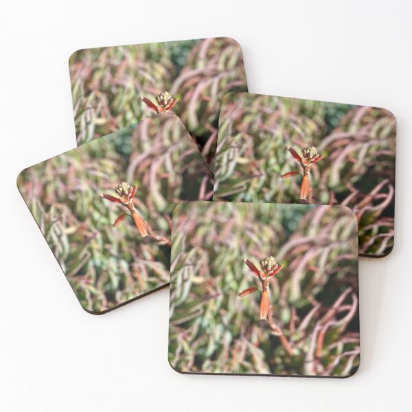 Item preview, Singular Focus designed and sold by Sophia Flot-Warner.