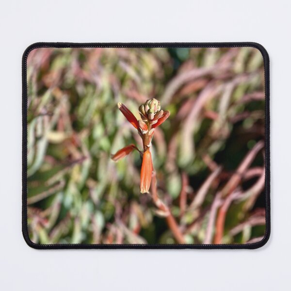 Item preview, Singular Focus designed and sold by Sophia Flot-Warner.