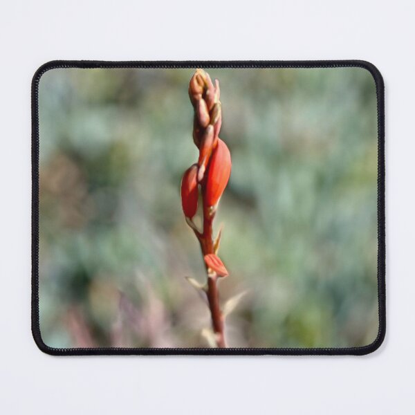 Item preview, The Art of Flowers designed and sold by Sophia Flot-Warner.