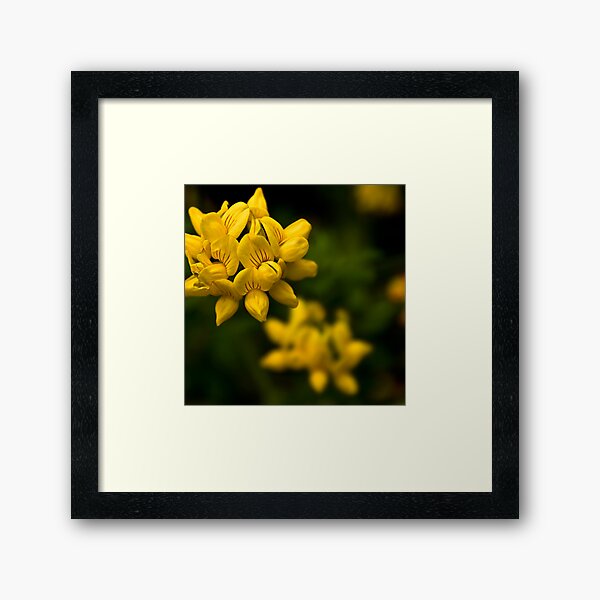 False Eyelashes Framed Art Print