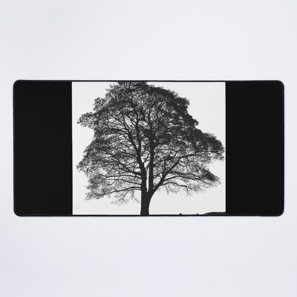 Item preview, Sycamore Gap Aesthetic Art Print designed and sold by Harsh  Katariya.