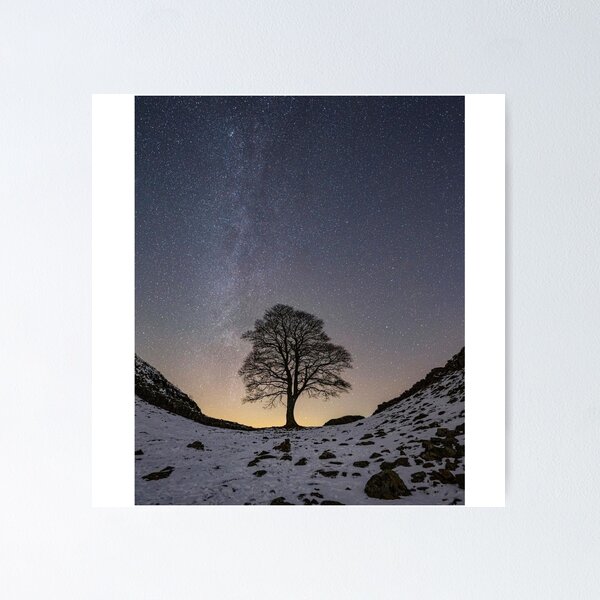 Item preview, Sycamore Gap Winter Art Print  designed and sold by Harsh  Katariya.