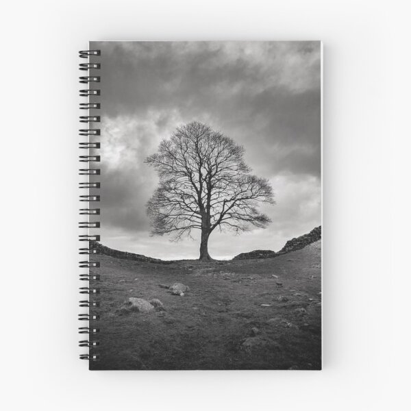 Item preview, Sycamore Gap Black-White Art Print Variant designed and sold by Harsh  Katariya.