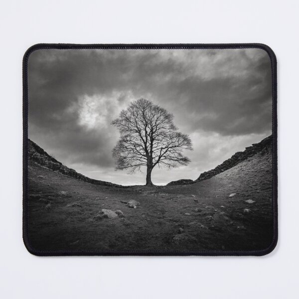 Item preview, Sycamore Gap Black-White Art Print Variant designed and sold by Harsh Katariya.