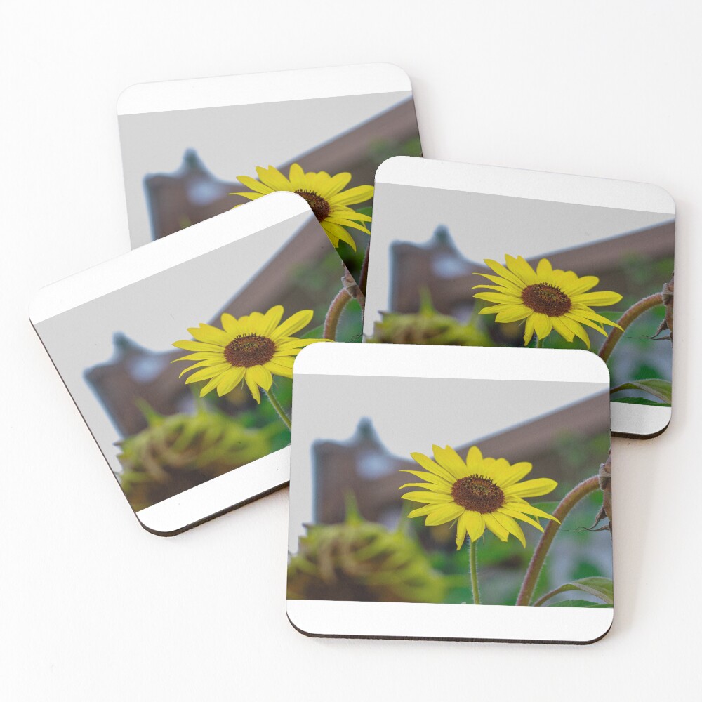 Item preview, Coasters (Set of 4) designed and sold by Rafaelagentry.