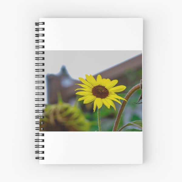 Item preview, Sunflower Abyss designed and sold by Rafaelagentry.