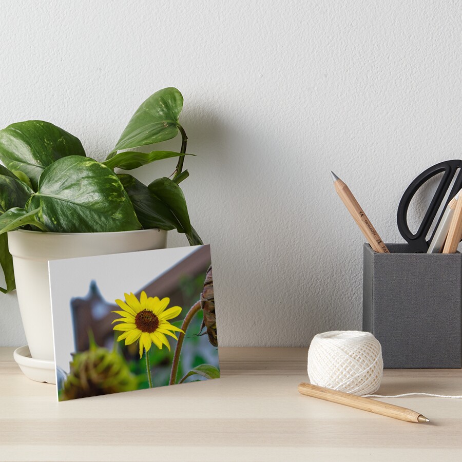 Item preview, Art Board Print designed and sold by Rafaelagentry.