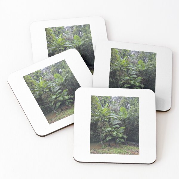 Item preview, After the rain. Lacey's Creek, Far North Queensland designed and sold by kateblank2.