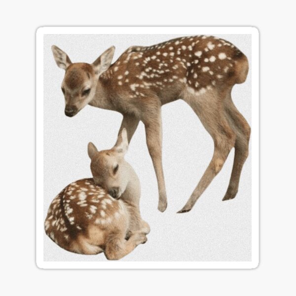 Coquette deer princess treatment Sticker for Sale by malak-abdelnaby