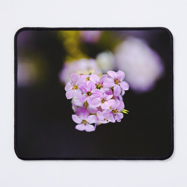 Item preview, Pink Diosma Flower Shines designed and sold by Joy Watson - Natural Light Photography .