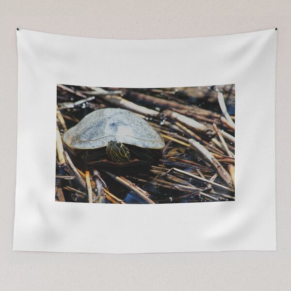 Item preview, Western Painted Turtle designed and sold by Alyce Taylor.