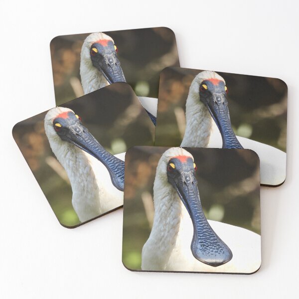 Item preview, Royal Spoonbill face designed and sold by Mark Grimsley.