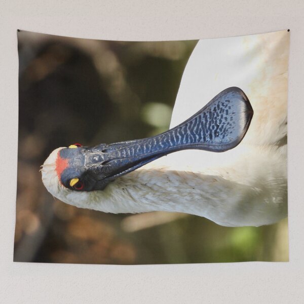 Item preview, Royal Spoonbill face designed and sold by Mark Grimsley.