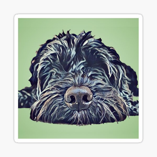 Artikel-Vorschau von Cockapoo Pop Art - Grün, designt und verkauft von BernerAndBasset.