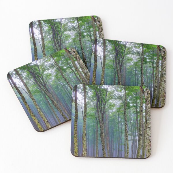 Item preview, Forest trees near the Col de Bentarte  designed and sold by troianifabrizio.