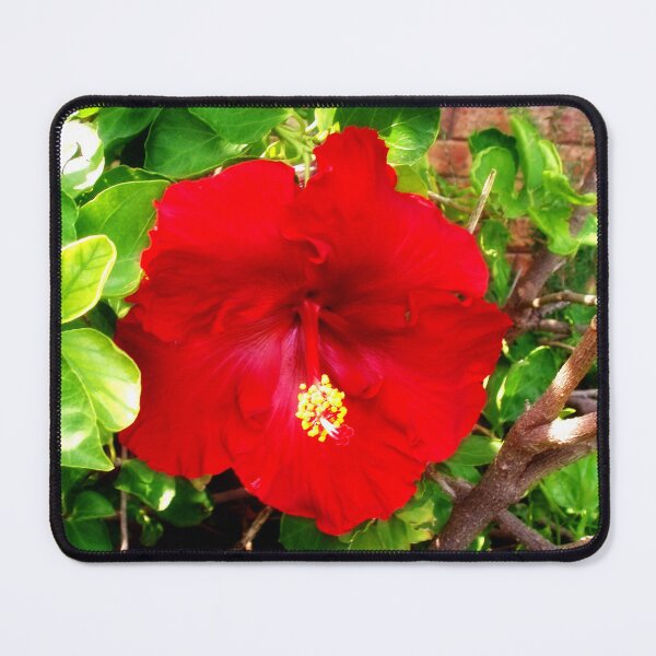 Item preview, Red Hibiscus designed and sold by Lee's Place.