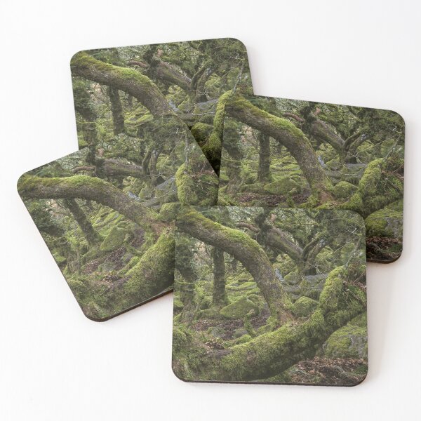 Item preview, Wildwood designed and sold by Phil Hemsley.