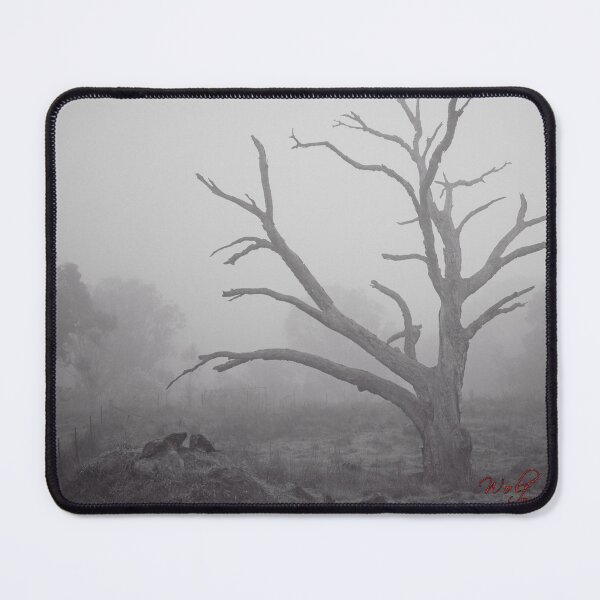 Item preview, Canberra shrouded in fog (3) designed and sold by Wolf Sverak Photography.
