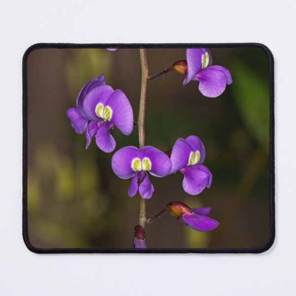 Item preview, Macros (79) designed and sold by Wolf Sverak Photography.