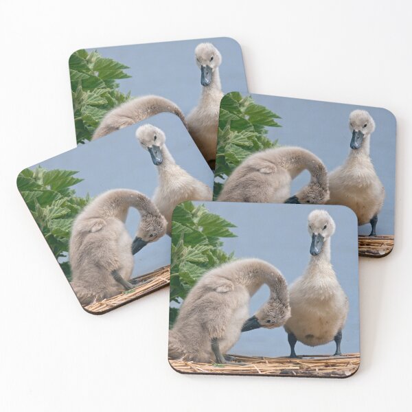 Item preview, I think you've missed a spot... (Mute Swan Cygnets) designed and sold by Krys Bailey.