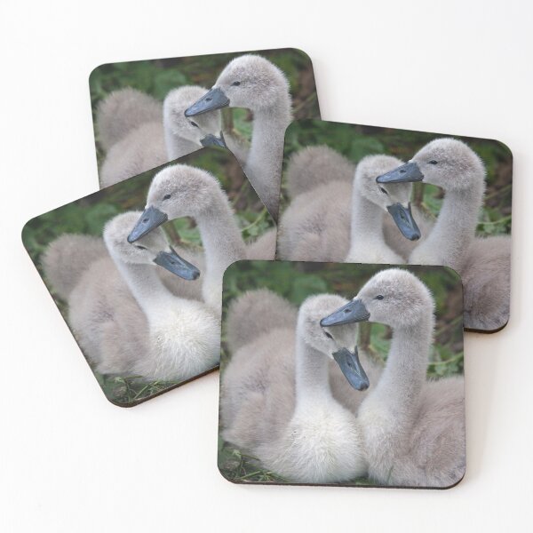 Item preview, Cygnet Siblings designed and sold by Krys Bailey.