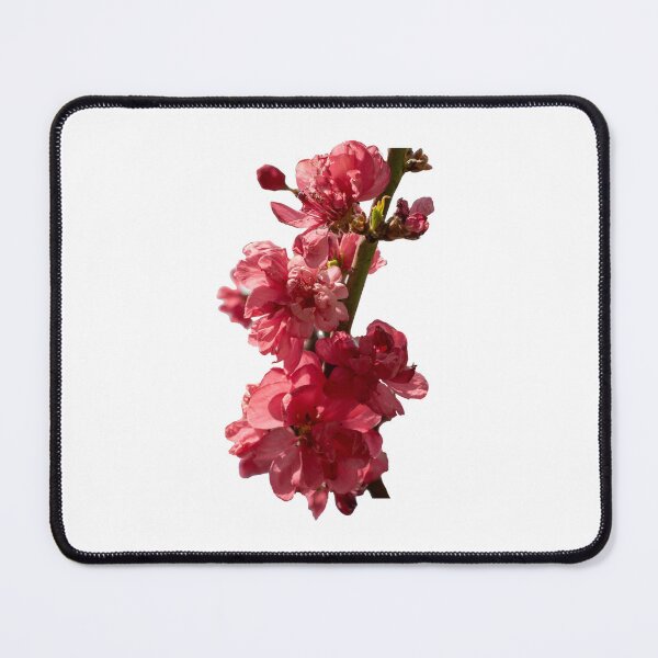 Item preview, Blooming Flowers designed and sold by bravotwo.