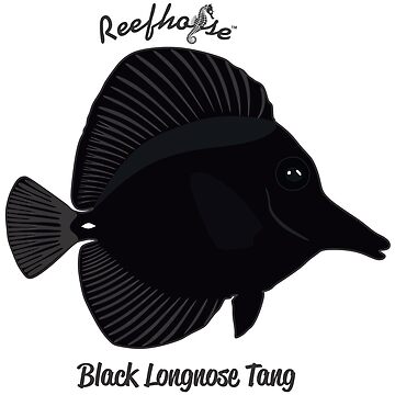 Artwork thumbnail, Black Longnose Tang by KaplanCrypto