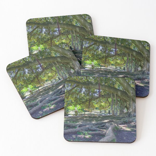 Item preview, Lisbon Elder Tree Expanse designed and sold by Joy Goldman.