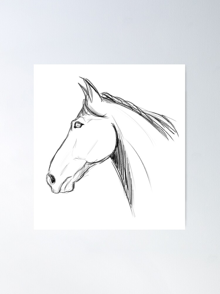 horse head sketch