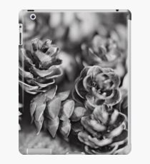 Hemlock Cones iPad Case/Skin