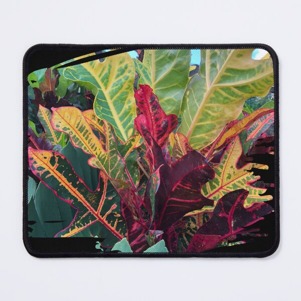 Item preview, Photograph Of Vibrant Colors Of The Croton Plant designed and sold by tw2us.
