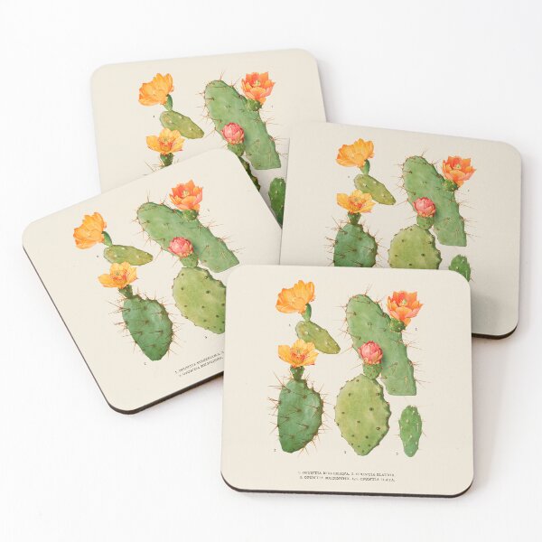 Item preview, Cactus Antique Botanical Illustration designed and sold by Antiquated Art.