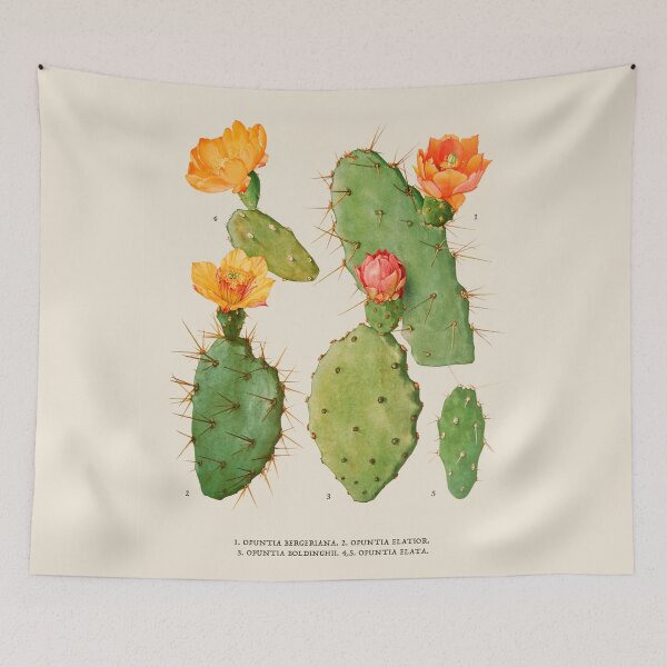 Item preview, Cactus Antique Botanical Illustration designed and sold by Antiquated Art.