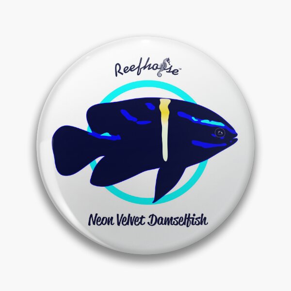 Item preview, Neon Velvet Damselfish designed and sold by KaplanCrypto.