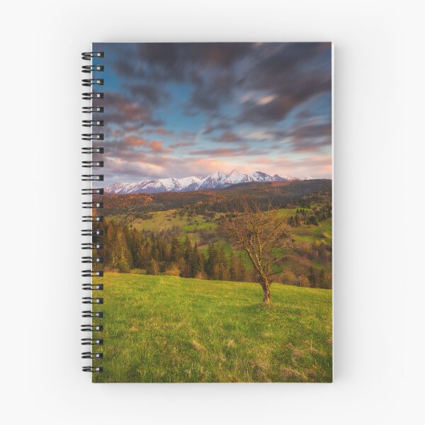 Item preview, Osturnia, Tatra Mountain, Slovakia designed and sold by RYSZARD LOMNICKI.