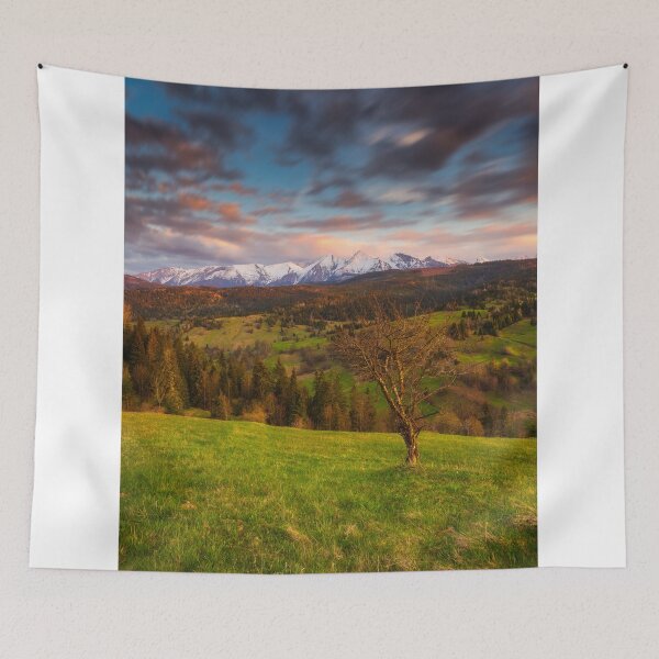 Item preview, Osturnia, Tatra Mountain, Slovakia designed and sold by RYSZARD LOMNICKI.