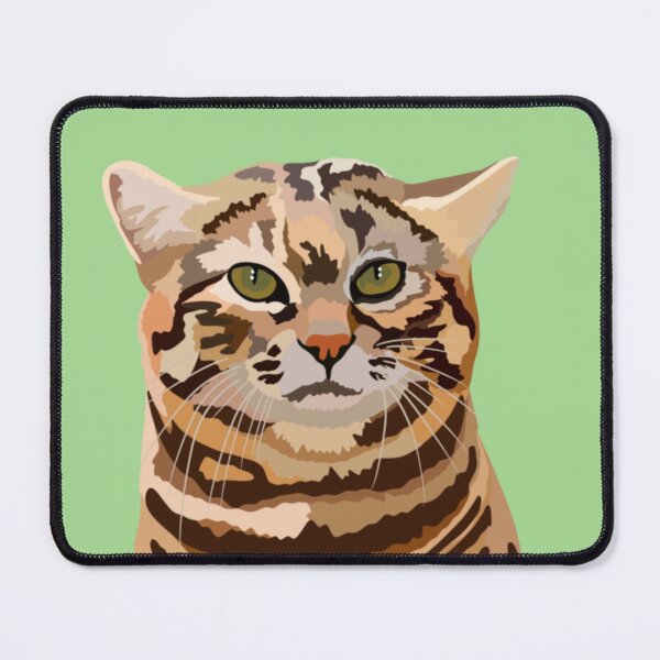 Item preview, B is for Black Footed Cat, Black-footed Cat – Small and Elusive African Wildcat Illustration designed and sold by PrettylittlepastelUk.