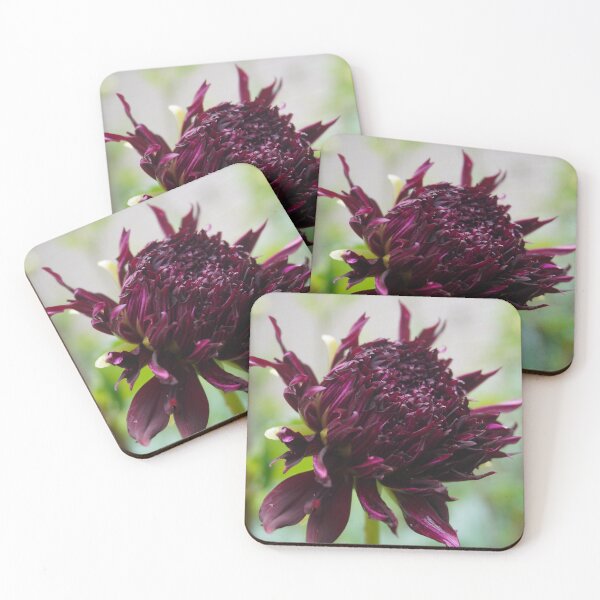 Item preview, Still Beautiful designed and sold by Bloom-N-Blossom.