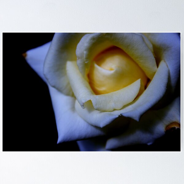 Item preview.