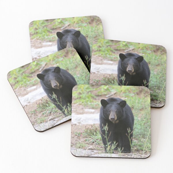 Item preview, Female Black Bear designed and sold by mlorenz.