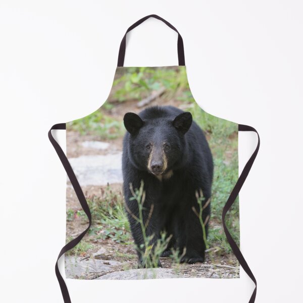 Item preview, Female Black Bear designed and sold by mlorenz.