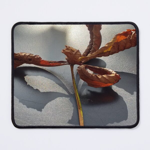 Item preview, castagne di cavallo designed and sold by anata77.