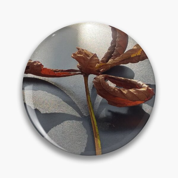 Item preview, castagne di cavallo designed and sold by anata77.
