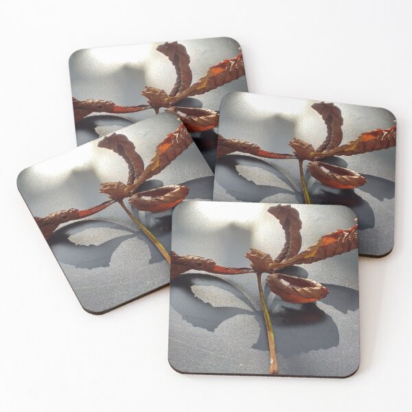 Item preview, castagne di cavallo designed and sold by anata77.