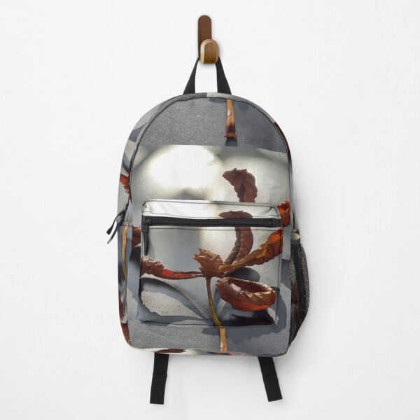 Item preview, castagne di cavallo designed and sold by anata77.