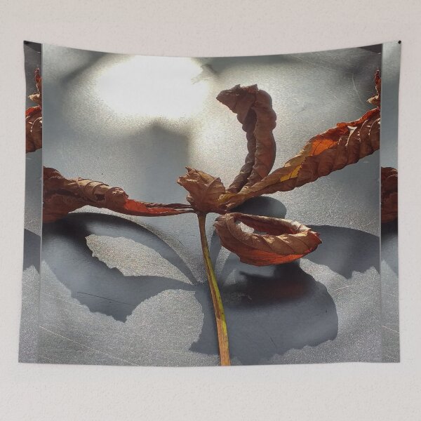 Item preview, castagne di cavallo designed and sold by anata77.
