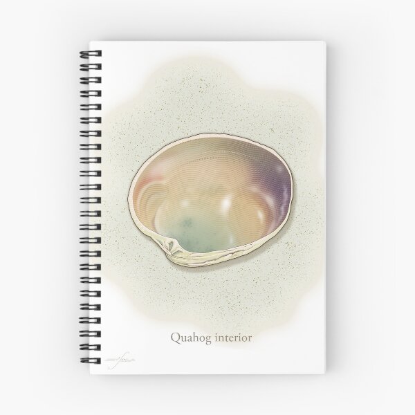 Item preview, Quahog Interior designed and sold by Eli Stone.