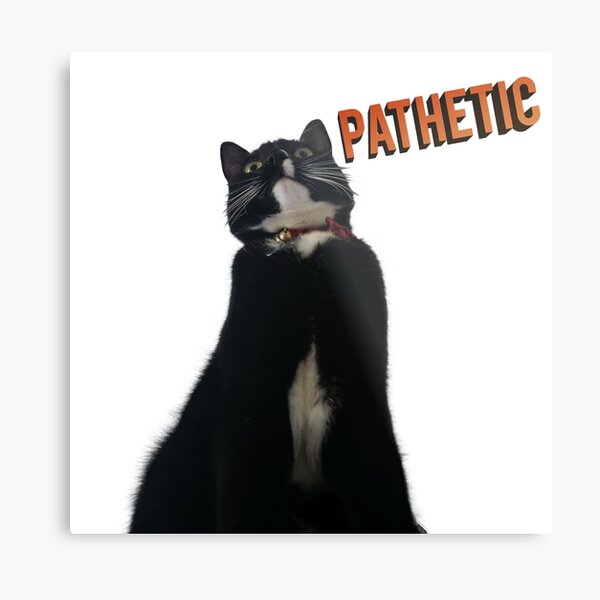 HQ Pathetic Cat Meme Cursed Face | Poster